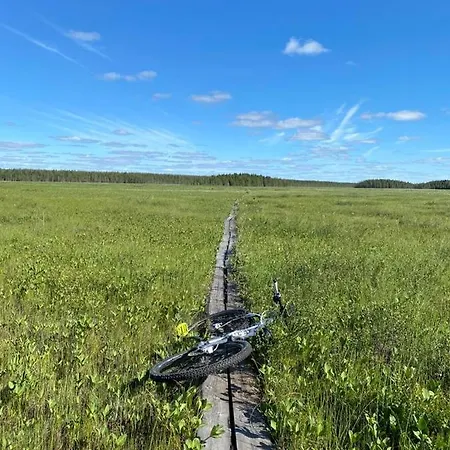 Lapinkoski Salmon Simojoki - Simoriver *