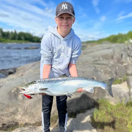 Lapinkoski Salmon Simojoki - Simoriver *
