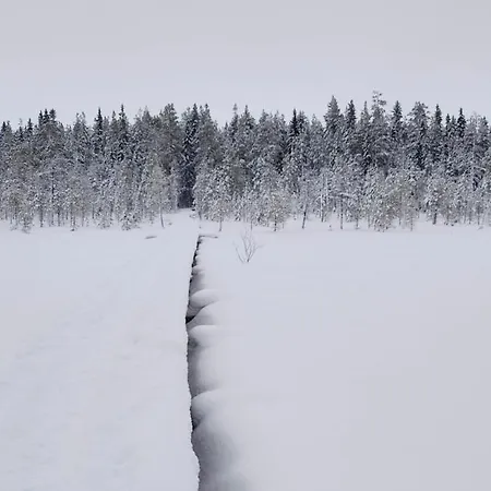Lapinkoski Salmon Simojoki - Simoriver Симо
