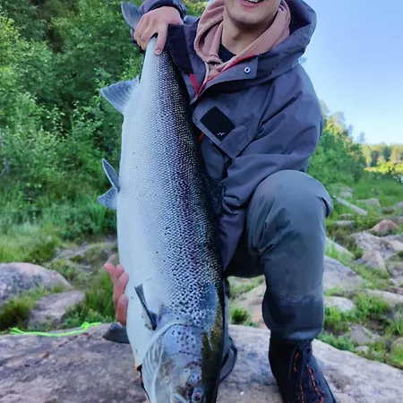Lapinkoski Salmon Simojoki - Simoriver Resort *
