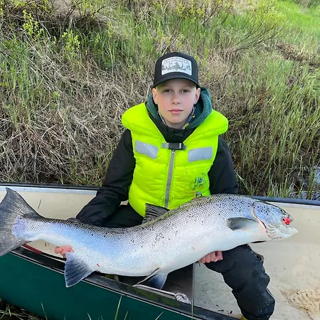 Lapinkoski Salmon Simojoki - Simoriver Симо