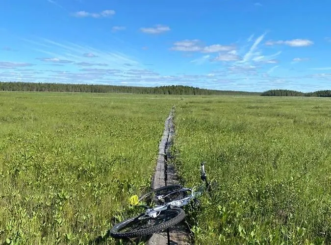 Lapinkoski Salmon Simojoki - Simoriver *