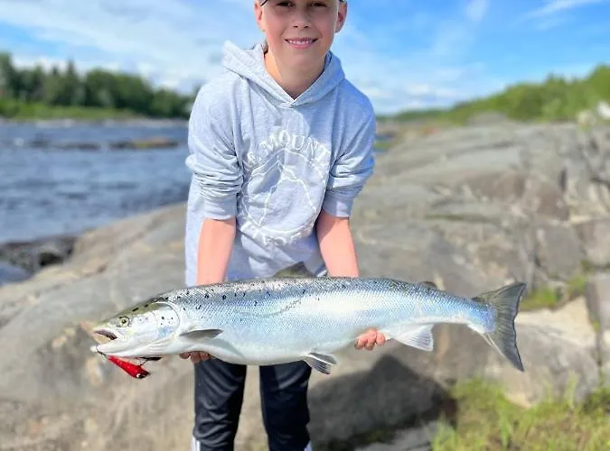 Lapinkoski Salmon Simojoki - Simoriver *