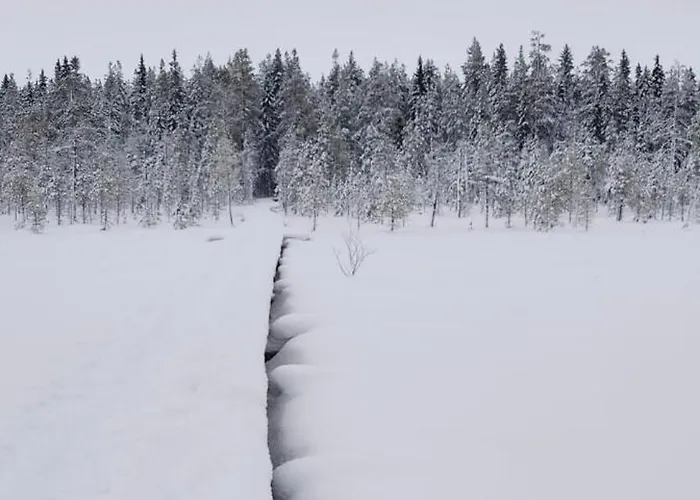 Lapinkoski Salmon Simojoki - Simoriver Simo
