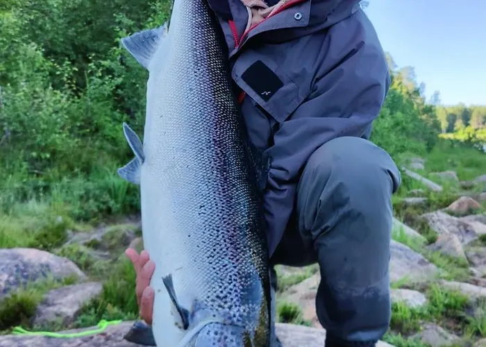 Lapinkoski Salmon Simojoki - Simoriver אתר נופש *