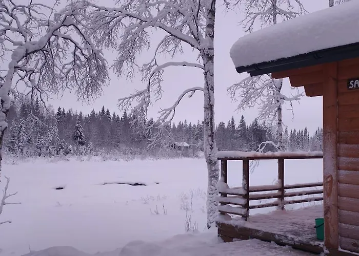 Lapinkoski Salmon Simojoki - Simoriver *