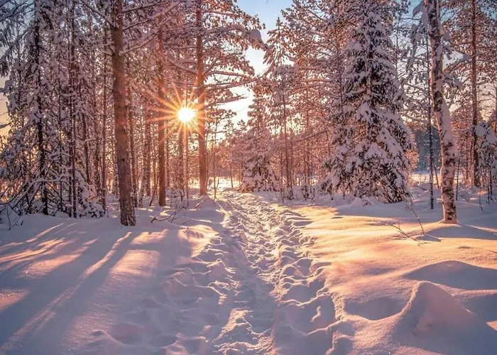 Lapinkoski Salmon Simojoki - Simoriver *