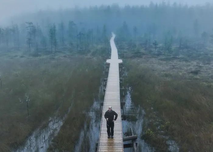 Lapinkoski Salmon Simojoki - Simoriver