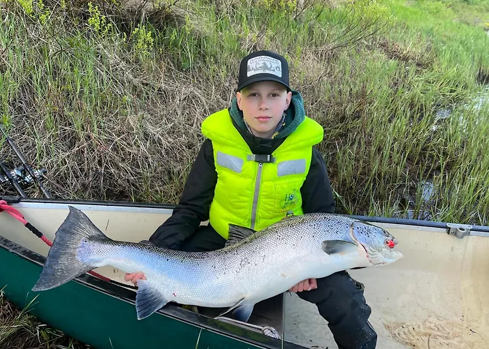 Lapinkoski Salmon Simojoki - Simoriver Simo